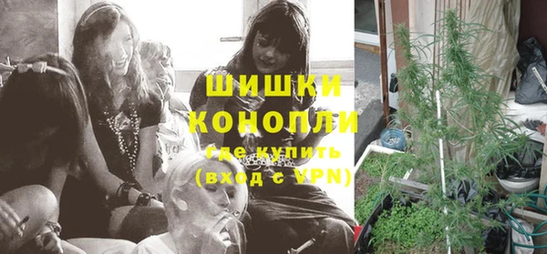 спиды Козловка