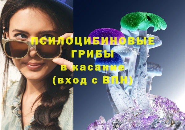 прущая мука Козельск
