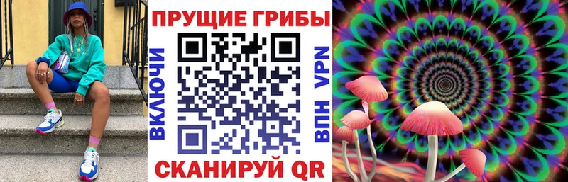 Купить закладки  Монино  Псилоцибиновые грибы GOLDEN TEACHER 